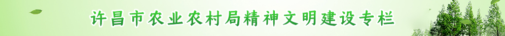 许昌市365bet线上平台_365bet指数_365正规官网农村局精神文明建设专栏